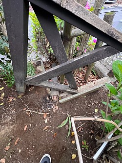 現調時の状況②