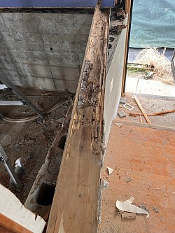 ユニットバス周り、白蟻の被害で土台、柱、梁も被害確認