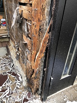 玄関ドアの柱から白蟻被害拡大